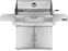 Napoleon Professional Freestanding Charcoal Grill