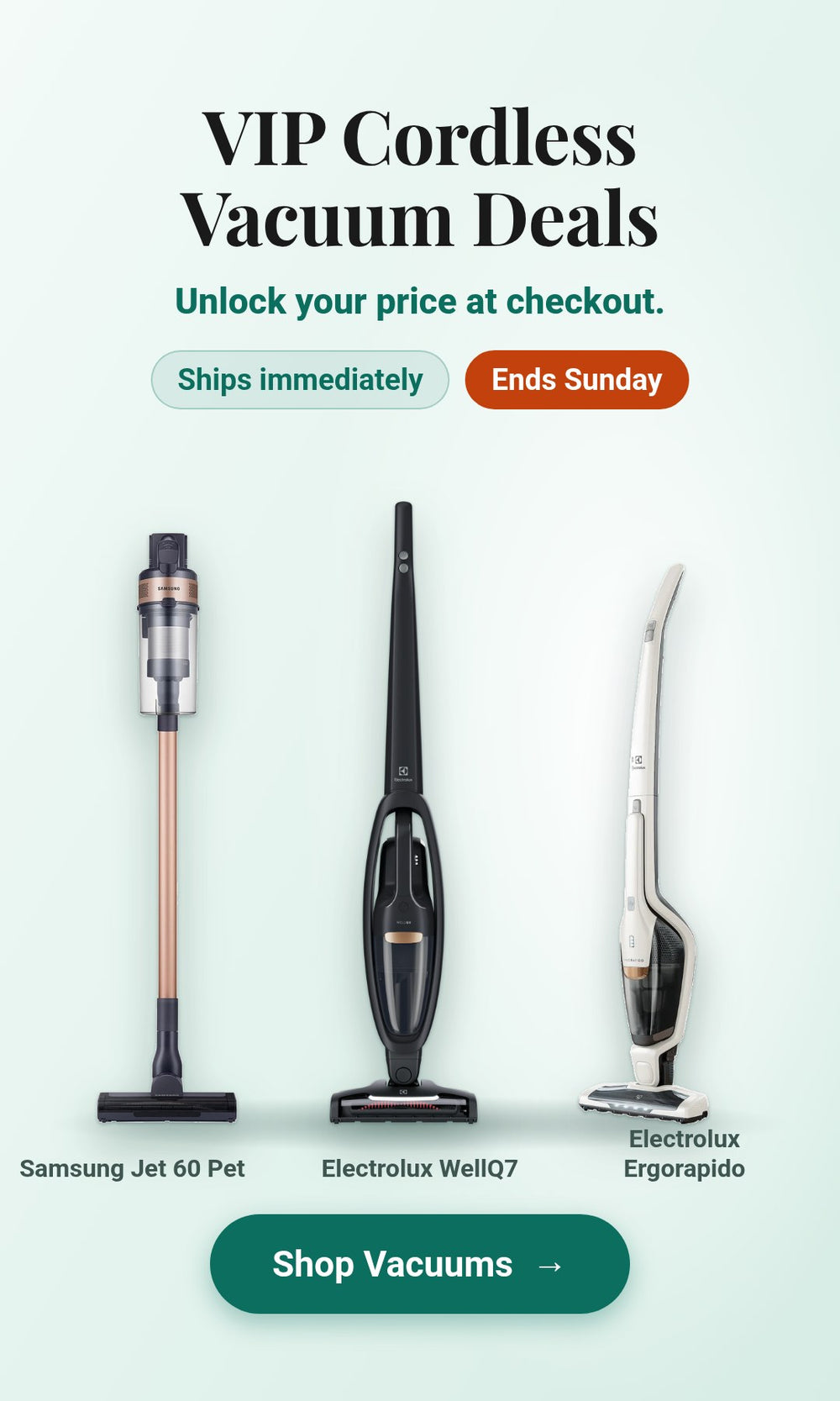 VIP cordless vacuum deals: Samsung Jet 60 Pet, Electrolux WellQ7 and Ergorapido. Unlock your price at checkout.