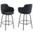 Inspire Colani 203-650CH 26-Inch Counter Stool Set Of 2 In Charcoal