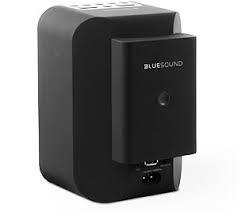 Bluesound BP100 Battery Pack for PULSE FLEX In Black