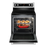 Maytag True Convection Oven Electric Range - YMER8800FZ